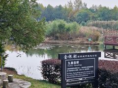 -金银湖国家城市湿地公园