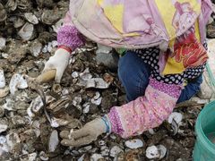 -蚝乡农庄(铁涌赤岸店)