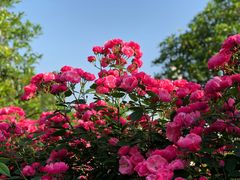 -武汉紫薇都市田园