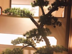 大堂-松鹤面馆·古法焖肉面(观前店)