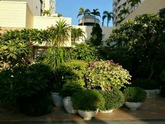 -曼谷王子宫殿酒店