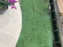 -金河半岛园林酒家(金融城店)