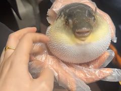 -肆月河豚·淮扬菜·湘菜(华天店)