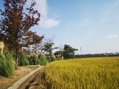 -嘉北郊野公园