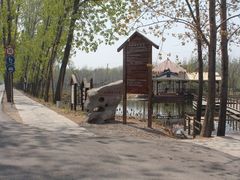 -微山湖红荷湿地景区