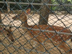 -大连森林动物园