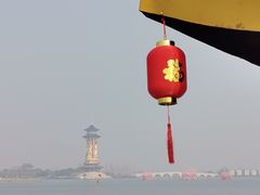 -溱湖国家湿地公园