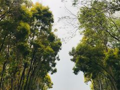 -深圳国际园林花卉博览园