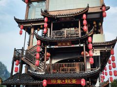 -印象鲵宴·张家界地标美食名片(溪布街店)