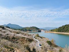 -广州市流溪河国家森林公园