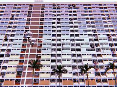 -彩虹村
