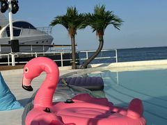 -北戴河碧螺塔海上酒吧公园