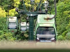 -大鄣山卧龙谷景区