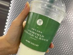 -茉酸奶(春熙路店)