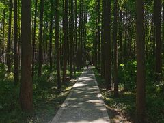 -同里国家湿地公园