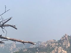 -崂山仰口游览区