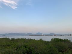 -润园四季椰子鸡火锅(海上世界店)