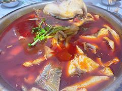 -重庆特色冷锅鱼(武大店)