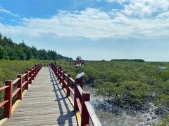 -北海金海湾红树林生态旅游区