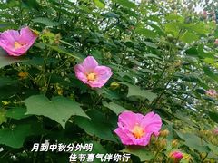 -雅达·阳羡溪山小镇中心