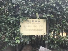 -汤山一号温泉度假区