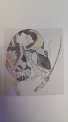 -MDZ STORE·TATTOO·耳饰