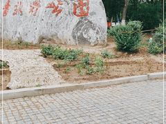 -西青郊野公园