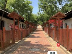 -铜川市金锁关石林