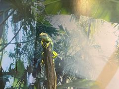 -苏州海洋馆