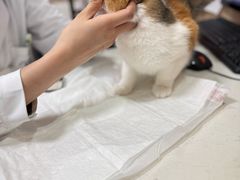 -恒幸动物医院·急重症转诊中心·神经内外科·CT核磁