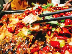 -晓鲜熊猫烤鱼烤吧(西三旗百汇北门店)