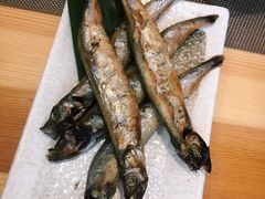 -酒井酱子·深夜食堂(东城汇店)