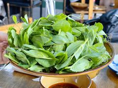 豌豆苗-理塘县特色砂锅牦牛肉馆