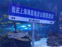 -上海海昌海洋公园