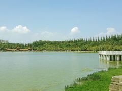 -洛龙公园