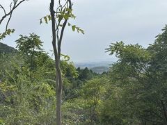 -北京十三陵国家森林公园蟒山景区