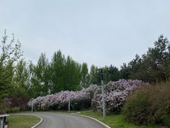 -长春公园(普阳街道)