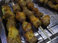 -张记烤羊腿(北花园店)