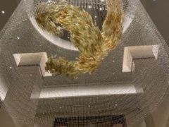 -郑州美盛喜来登大酒店