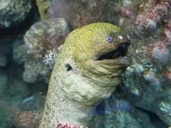 -上海海洋水族馆