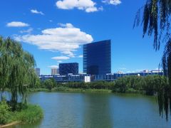 -大兴滨河森林公园