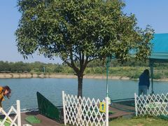 -梁子湖东篱老屋生态庄园