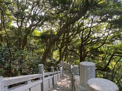 -梧桐山风景名胜区