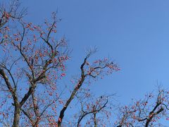 -丹山赤水风景名胜区