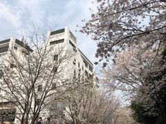 -武汉大学-樱园