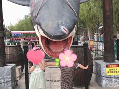 -青岛方特梦幻王国