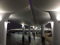 -演武大桥观景平台