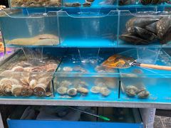 水产区-歹街(金成店)