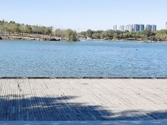 -马家湾湿地公园