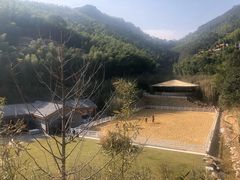 -宁海安岚·南溪阁全日餐厅